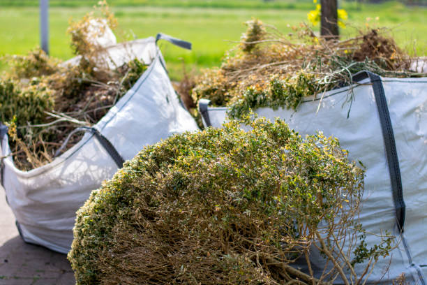 Best Dumpster Rental Services  in Nottingham, PA